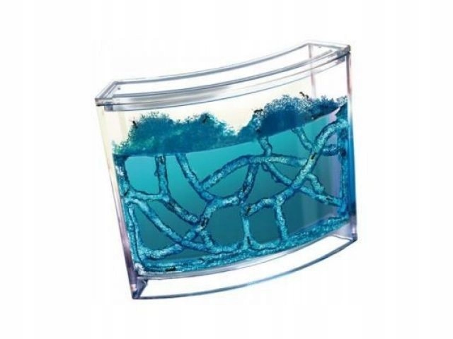Prozirna gel kolonija