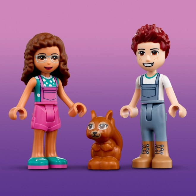 Auto sadioca stabala LEGO Friends