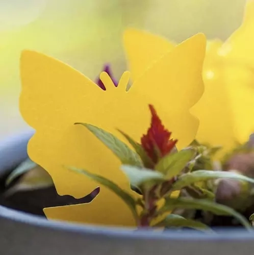 Žute ljepive zamke za insekte 12 kom