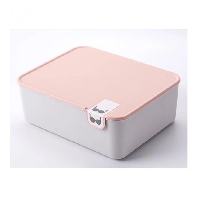 Organizator ladice s 10 pretinaca