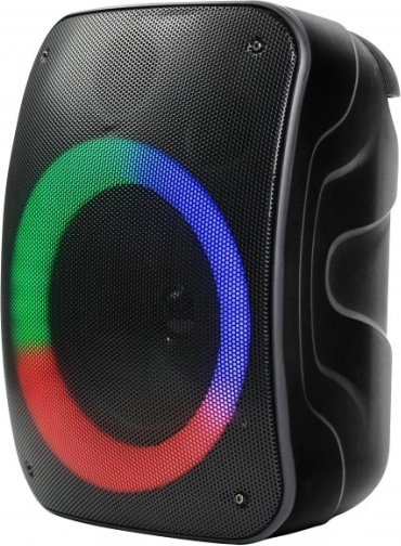 Bluetooth zvučnik Stage 300