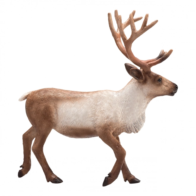 Mojo Animal Planet Pas
