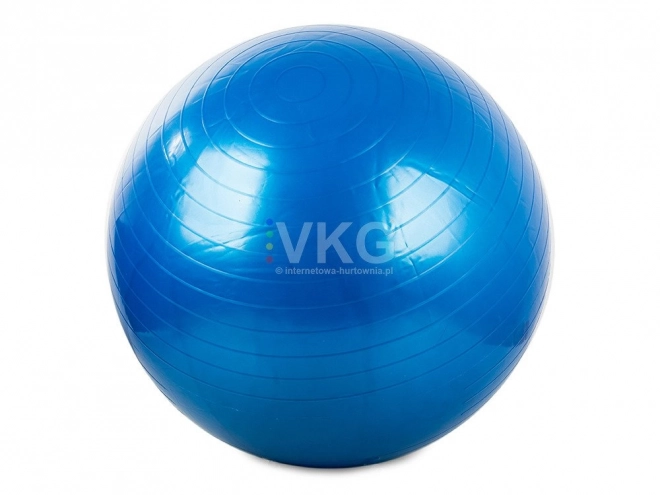 Gimnastička lopta Fitness 65 cm s pumpicom