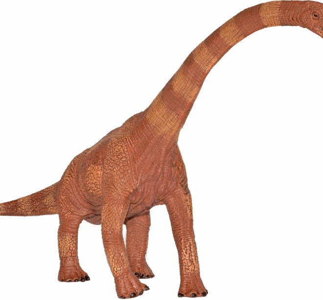 Figurica dinosaura Brachiosaurus 30 cm
