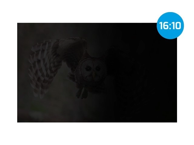 Filtr za zaštitu osobnih podataka Natec Owl 16 inča 16:10