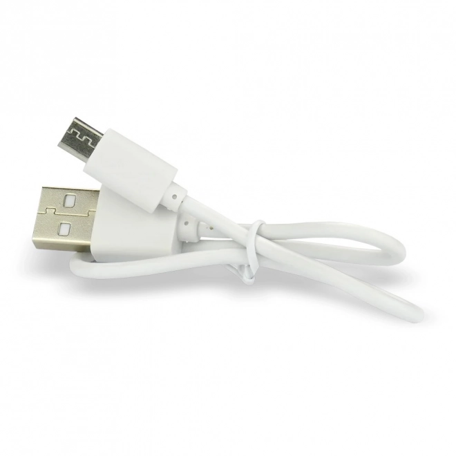 Punjiva baterija EverActive 16340 700 mAh s micro USB