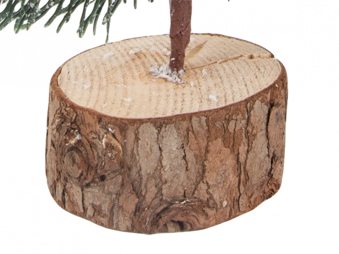 Rustikalna baza