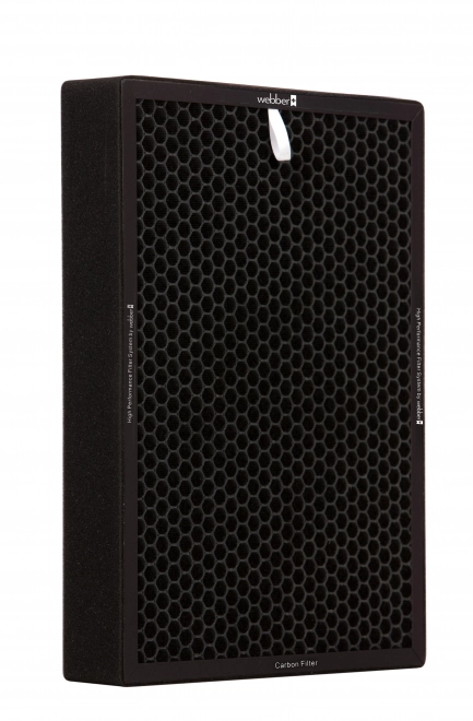 Set filtara za pročistač zraka Webber AP9800