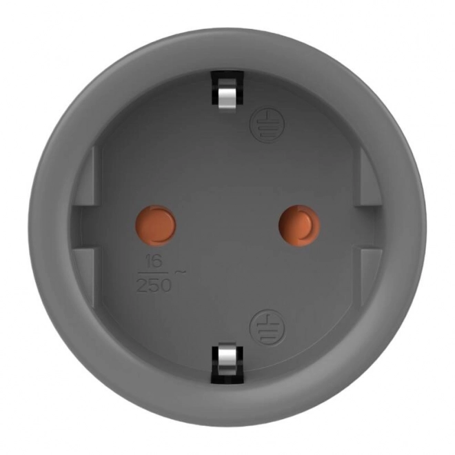 Pametna WiFi utičnica Sonoff S60TPF