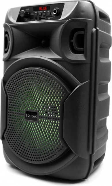 Bluetooth zvučnik Squeak PulseTower s karaokama, 1000 W