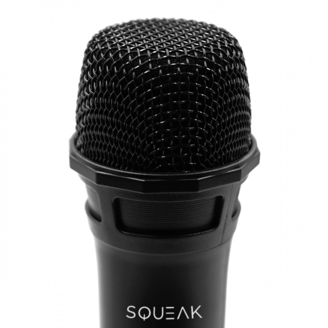 Set mikrofona za karaoke VocalDuo s dosegom od 30m
