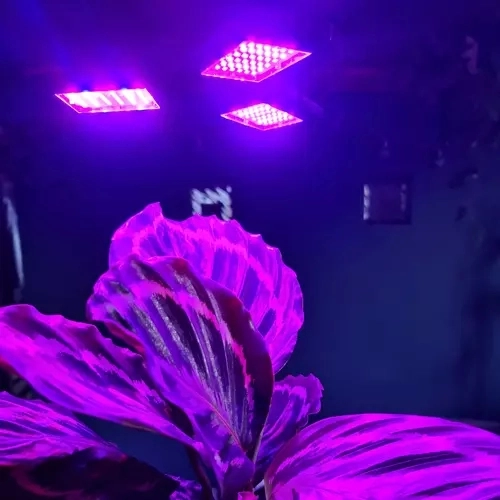 Lampa 108 LED za rast biljaka Gardlov 20440