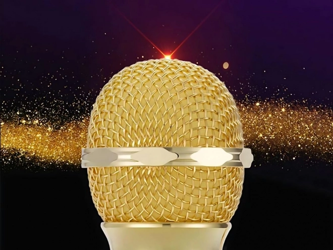 Bežični bluetooth mikrofon karaoke