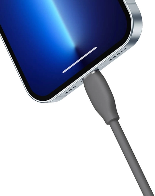 Brzo punjenje 2,4 A za Apple uređaje