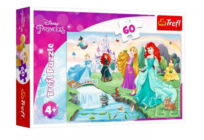 Puzzle Upoznajte princeze 33x22cm 60 dijelova u kutiji 21x14x4cm