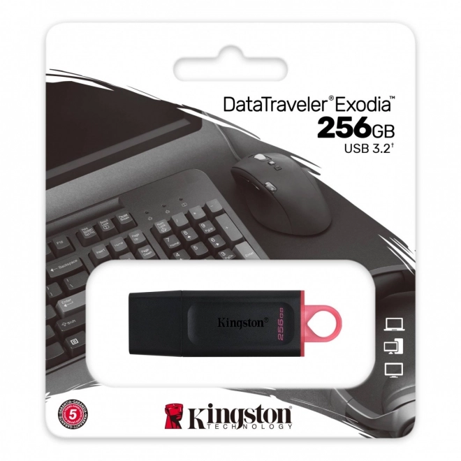 USB flash disk DataTraveler Exodia 256GB USB 3.2 Gen 1