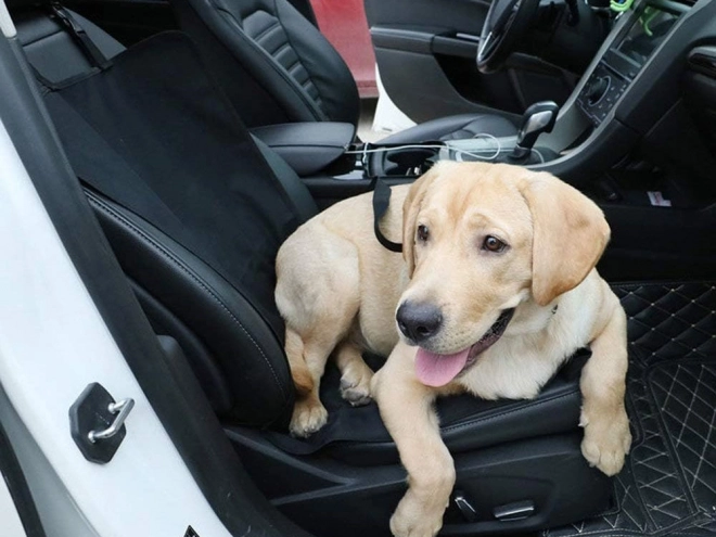 Vodootporni sklopivi pokrivač za auto za pse