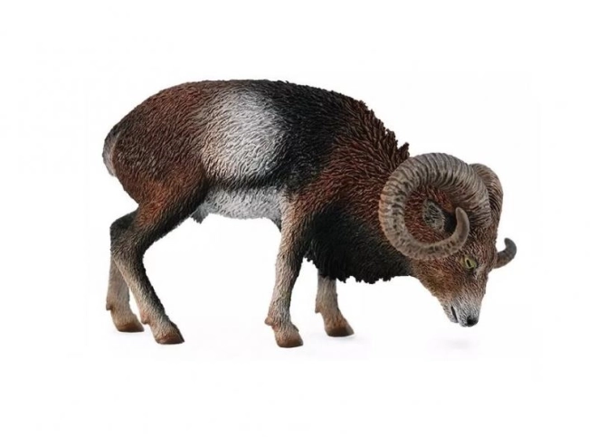 Europski muflon