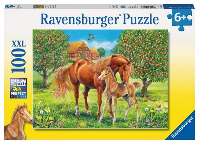 Puzzle Konji na pašnjaku XXL