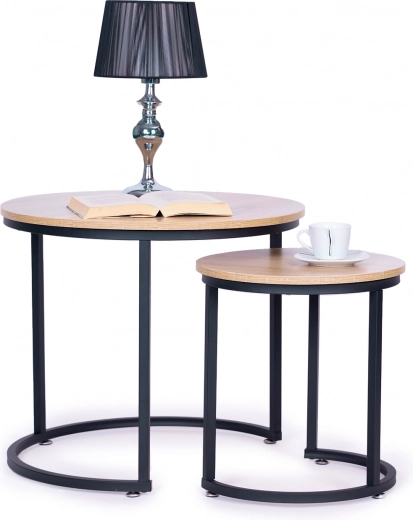 Jednostavno održavanje i brza montaža