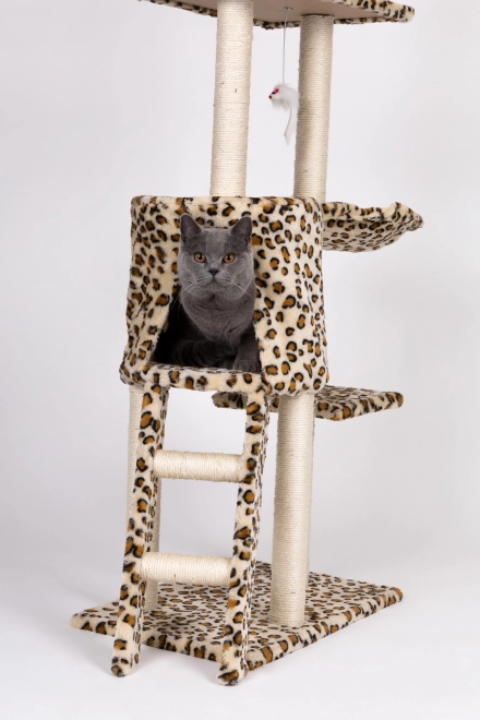 Grebalica za mačke, kućica, stablo, krevet, 138cm XL, Panther