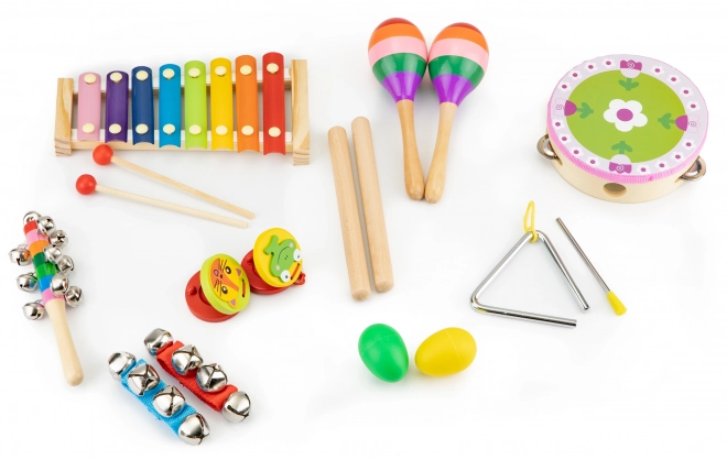 Glazbeni set od 14 instrumenata + torba Ecotoys
