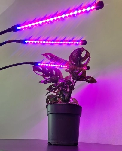 Lampa 20 LED 3 kom za rast biljaka Gardlov 19242