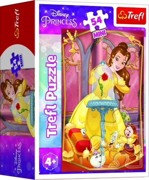 Minipuzzle Prekrasne princeze/Disney Princeza 54 dijelova