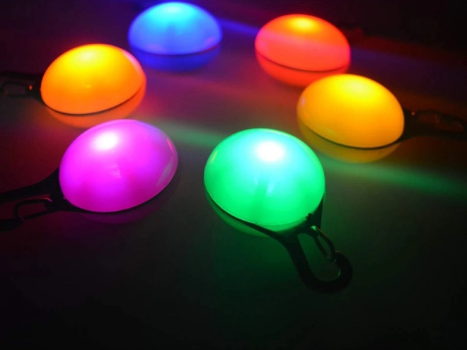 Luminescentni LED privjesak za ogrlicu za pse i mačke