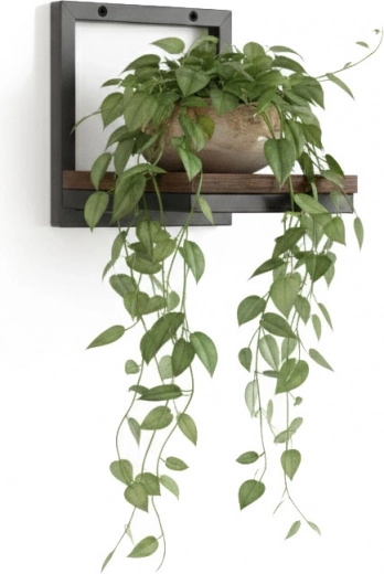 Praktično izlaganje biljaka i ušteda prostora