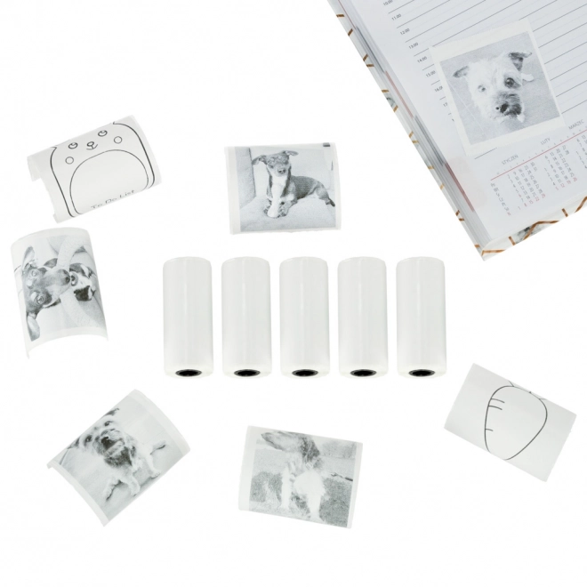 Termalni samoljepljivi papir u rolama za mini pisač 5,7 cm x 4,5 m 5 komada
