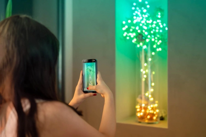 Lanac pametnih dekorativnih svjetla USB-C (Bomboni) 100 LED RGB, svjećice, zeleni kabel, 6 m