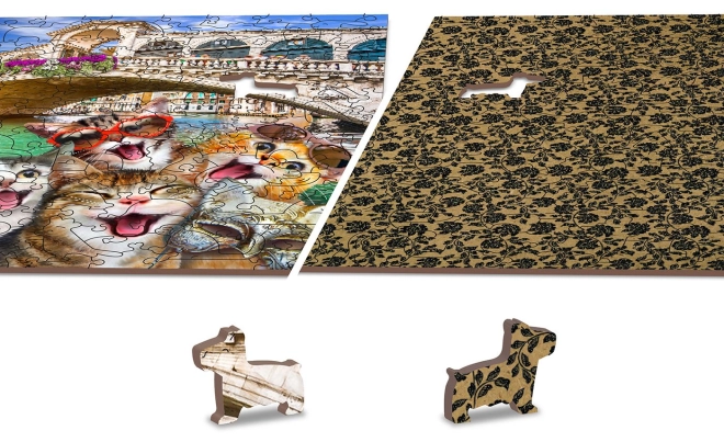 Dvostrane Puzzle 2u1