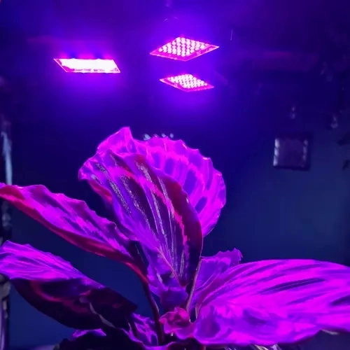 Lampa 108 LED za rast biljaka Gardlov 20440