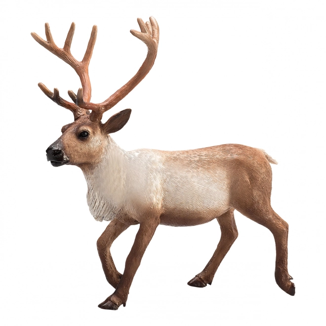 Mojo Animal Planet Pas