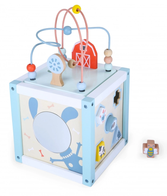 Drvena igračka za sortiranje s kockama Ecotoys
