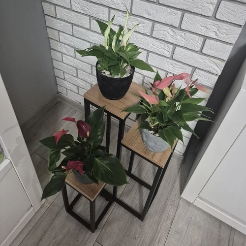 Ruhhy stalak za cvijeće loft 3 razine