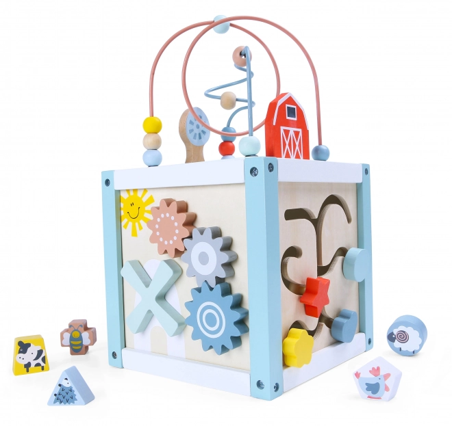 Drvena igračka za sortiranje s kockama Ecotoys