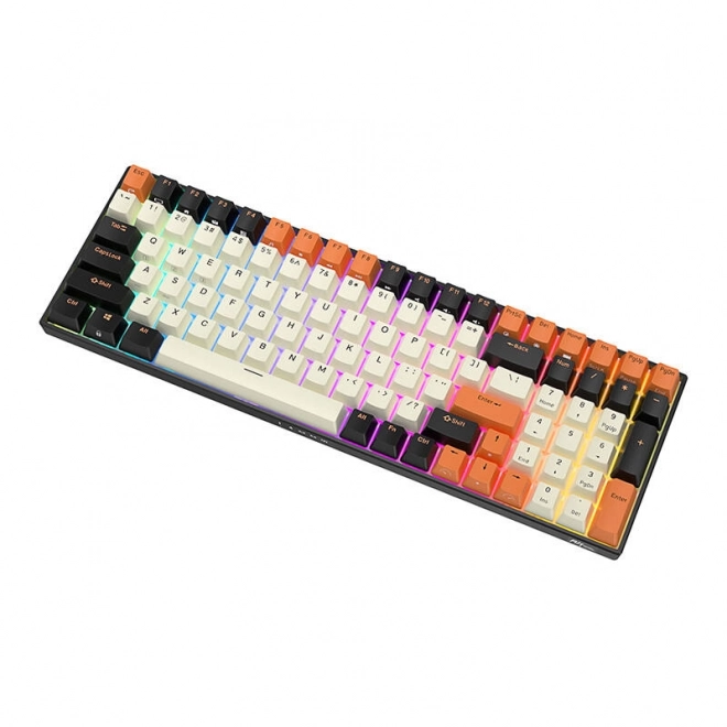 Mehanička tipkovnica Royal Kludge RK100 RGB smeđi prekidač