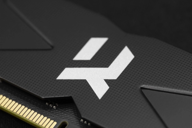 Memorija DDR5 64GB IRDM crna