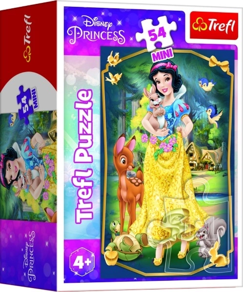 Minipuzzle Prekrasne princeze/Disney Princeza 54 dijelova