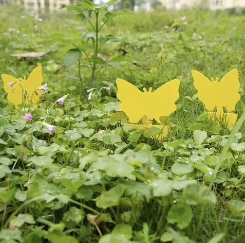 Žute ljepive zamke za insekte 12 kom