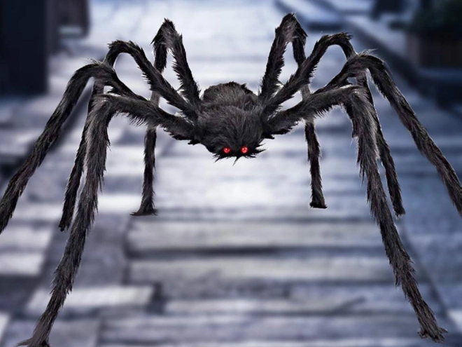 Halloween divovski pauk tarantula dekoracija