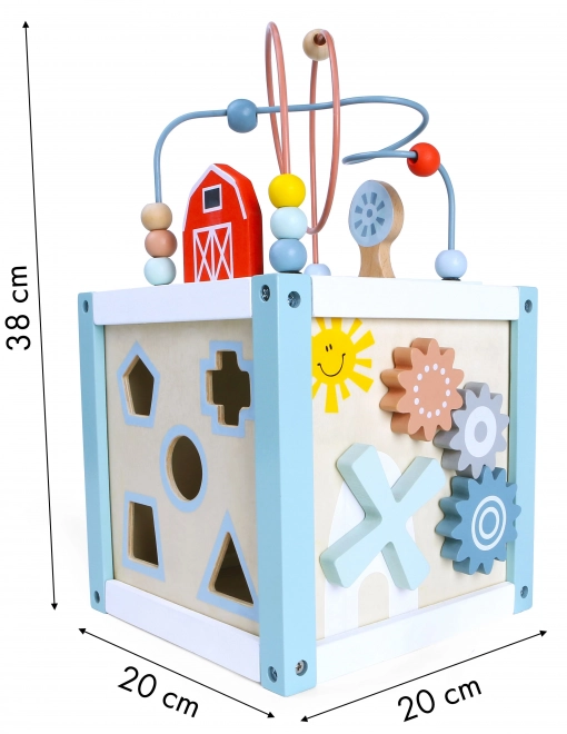 Drvena igračka za sortiranje s kockama Ecotoys