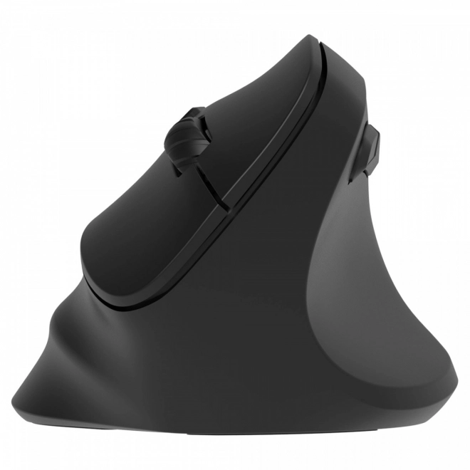 Bežična ergonomska miš za dešnjake, punjiva baterija Dual WL+BT