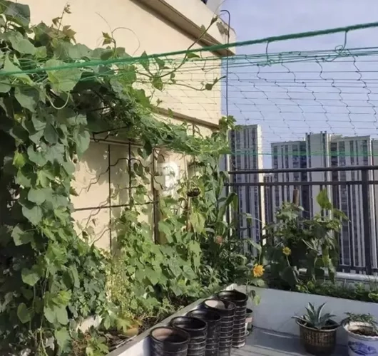 Mreža - potpora za biljke 2x10m Gardlov 23978