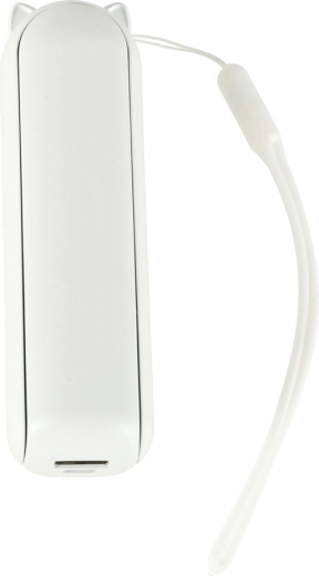 Brzo i učinkovito punjenje