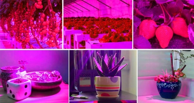LED lampa za rast biljaka 200 LED E27