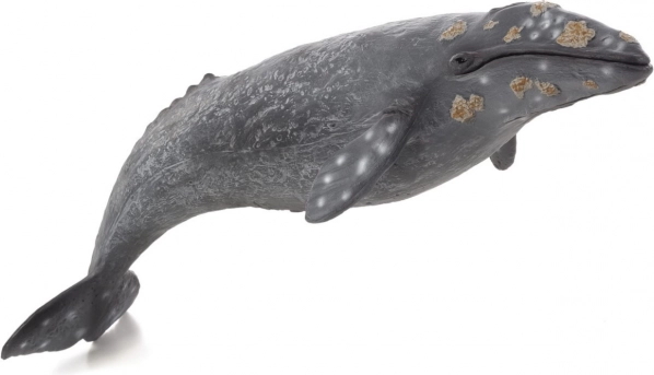 Realistična figurica sivog perajara