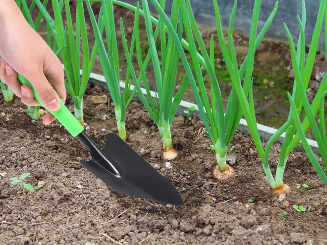 Vrtlarska transplantacijska lopatica